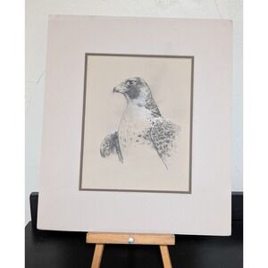 Unframed Matted Peregrine Falcon Profile Pencil/Charcoal‎ Drawing 13.5 x 15.5